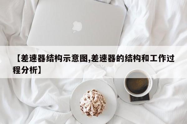 【差速器结构示意图,差速器的结构和工作过程分析】