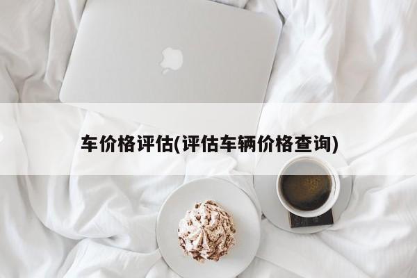 车价格评估(评估车辆价格查询)